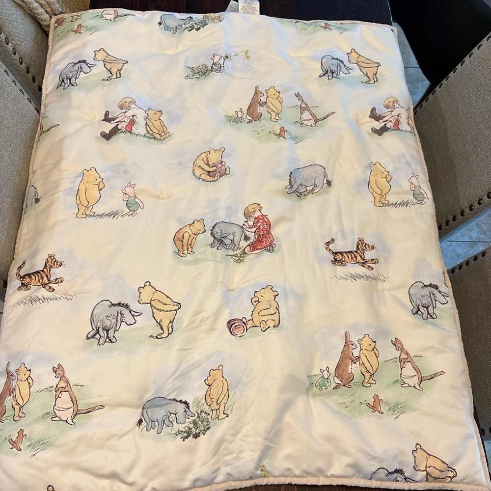 Disney Winnie the Pooh Character Quilt - Cream and Multicolor
